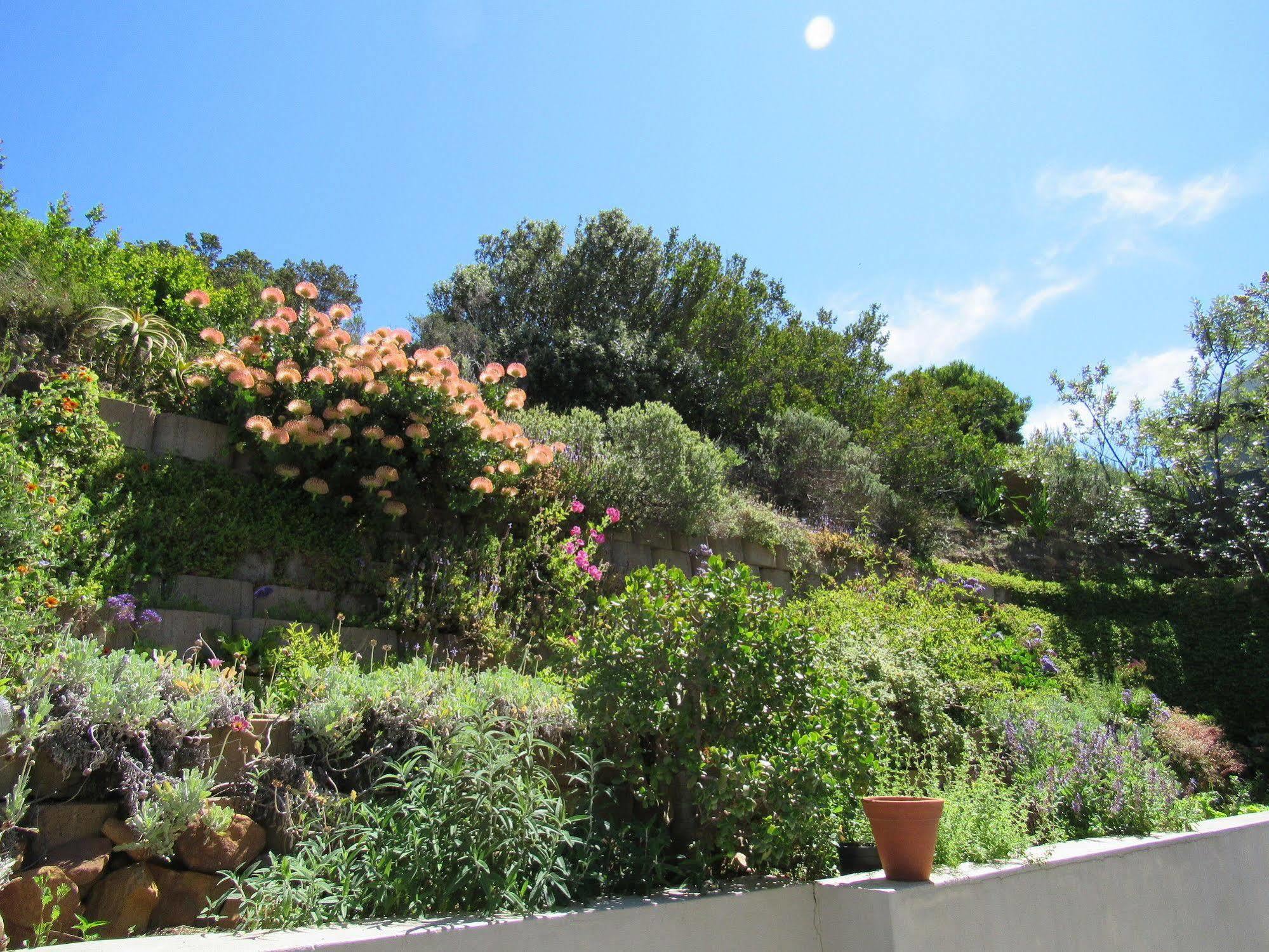 Simonʼs Town ポート オブ コール ベッド アンド ブレックファースト Bed & Breakfast エクステリア 写真