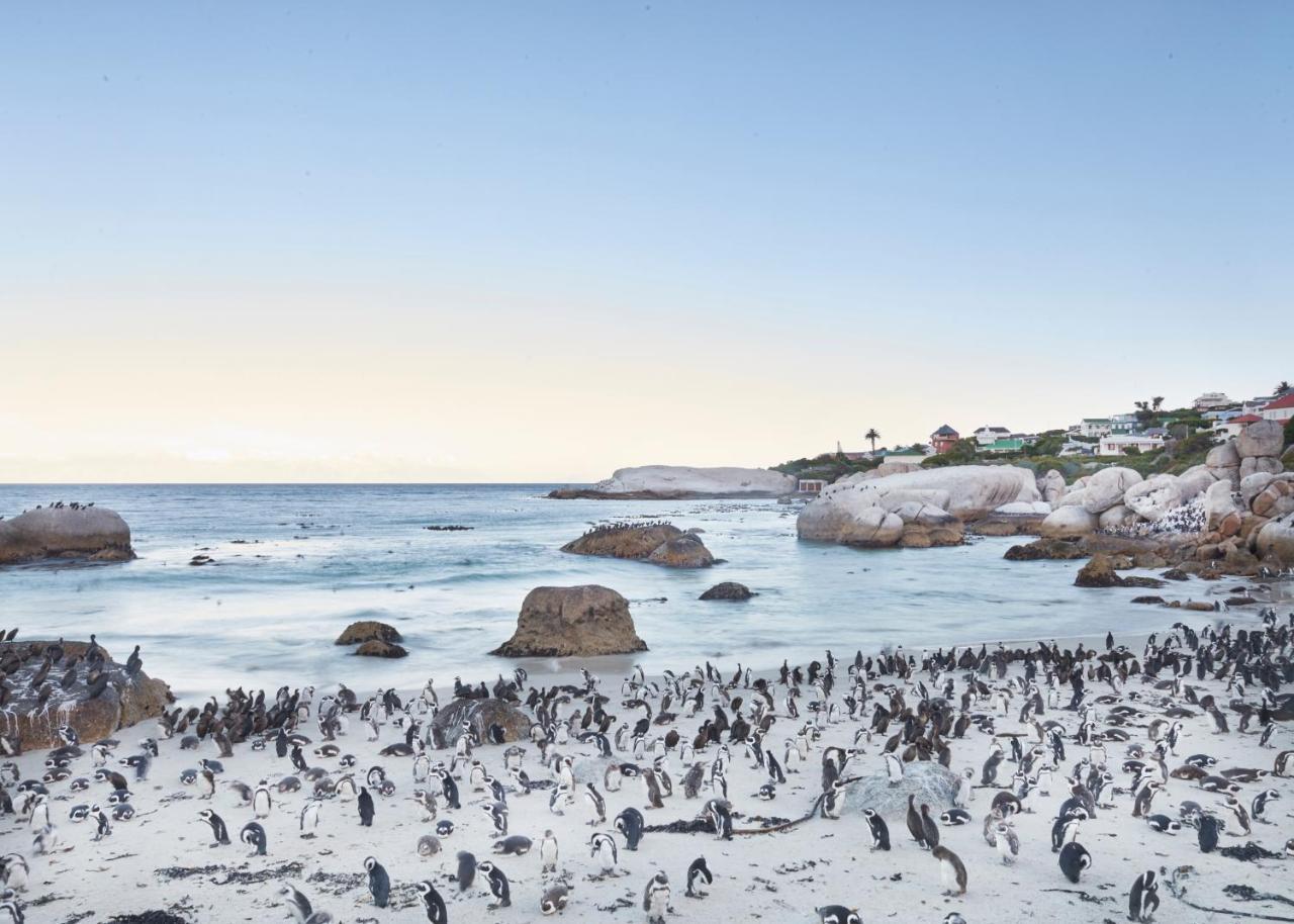 Simonʼs Town ポート オブ コール ベッド アンド ブレックファースト Bed & Breakfast エクステリア 写真