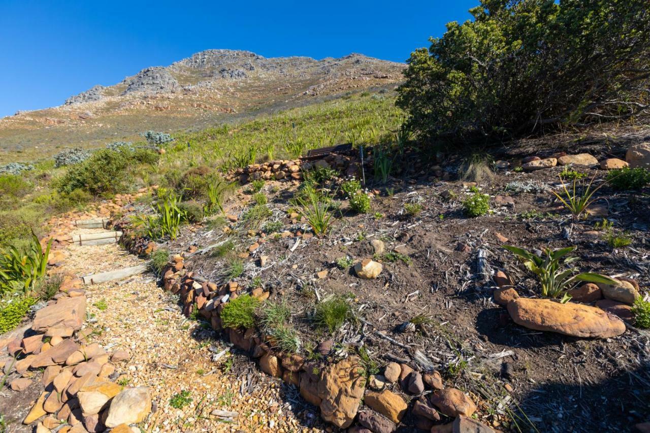 Simonʼs Town ポート オブ コール ベッド アンド ブレックファースト Bed & Breakfast エクステリア 写真